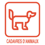 Cadavres d'animaux