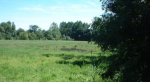 Prairies de l'Arnon