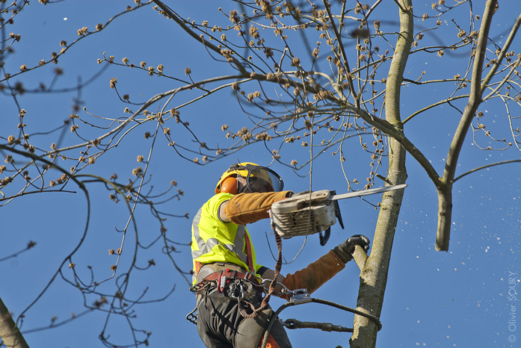 Enedis alerte sur des démarchages trompeurs : les bons réflexes à adopter ✅