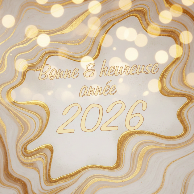 Cérémonie des vœux de la municipalité