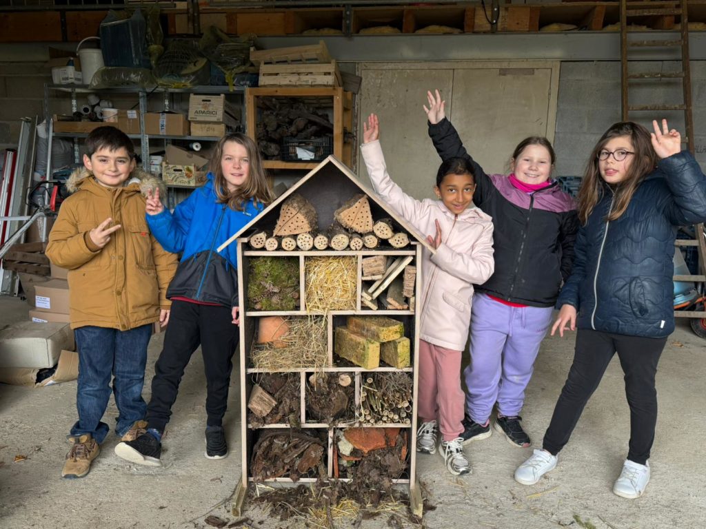 Fleurs et hôtel à insectes : les projets du CMJ concrétisés